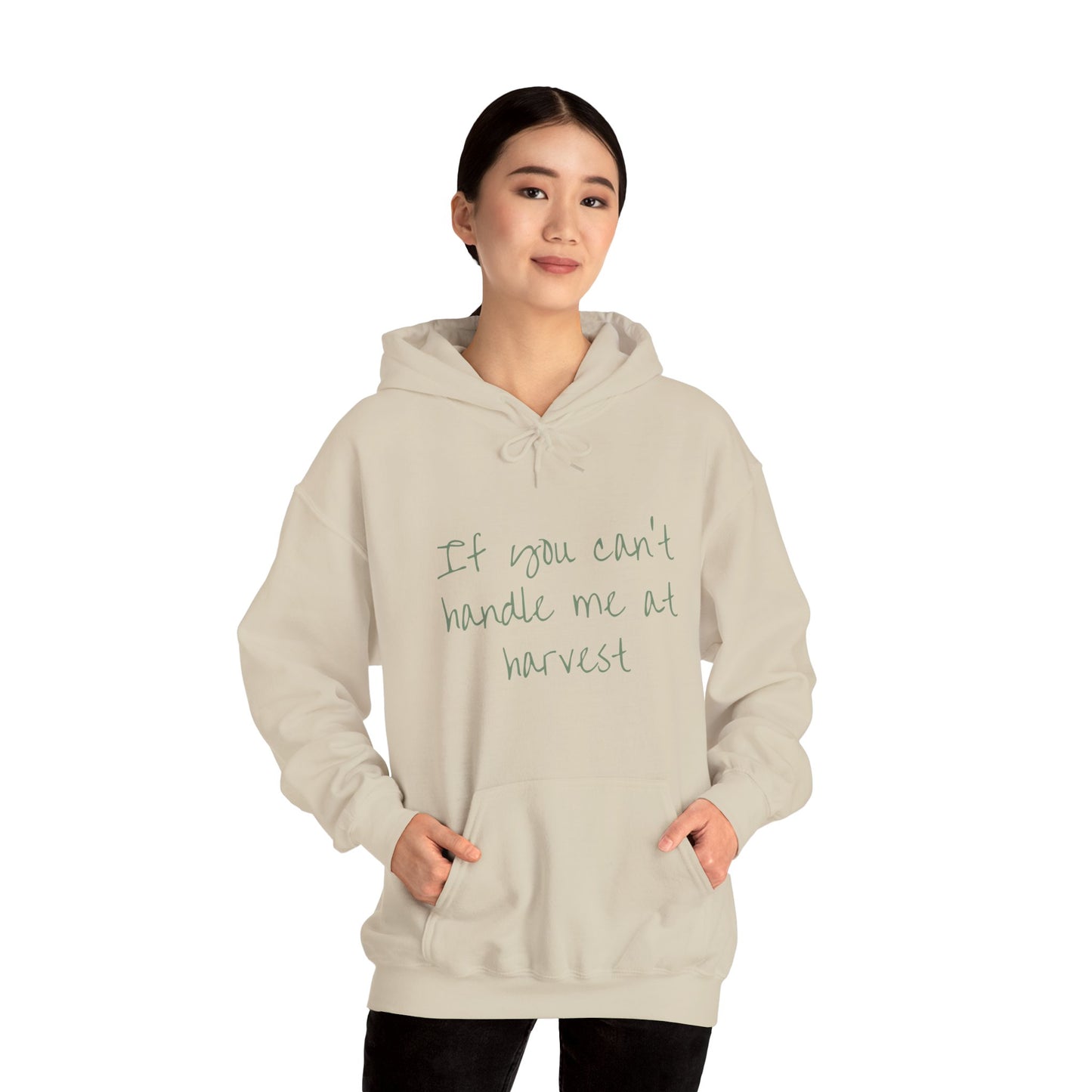 Funny Hoodie - "If You Can't Handle Me at Harvest" & "You Don't Deserve Me at Christmas"