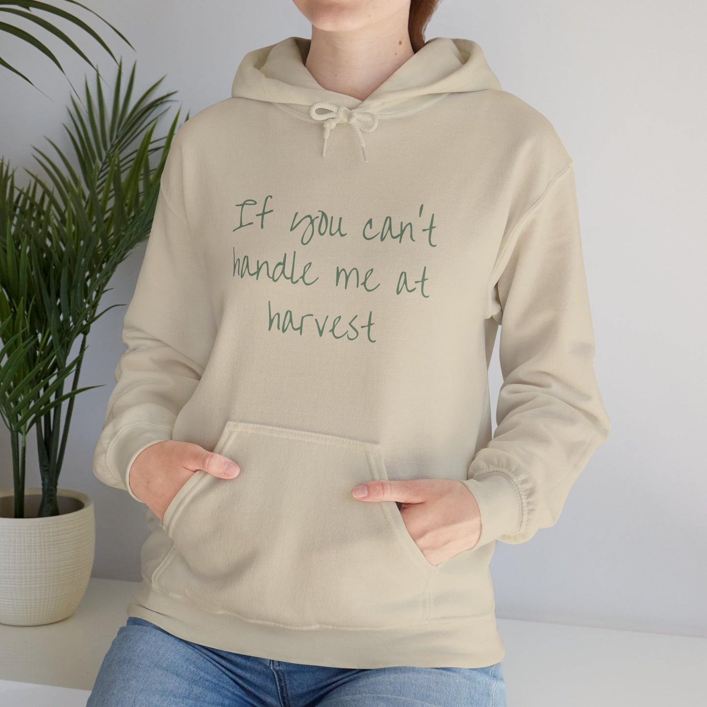 Funny Hoodie - "If You Can't Handle Me at Harvest" & "You Don't Deserve Me at Christmas"